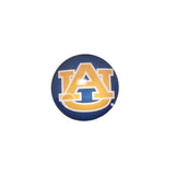 Georgia Tech, Auburn University, University of Florida Glass Snap Charms/Buttons
