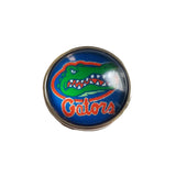 Georgia Tech, Auburn University, University of Florida Glass Snap Charms/Buttons